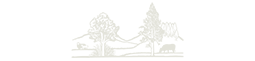 Carbonfields